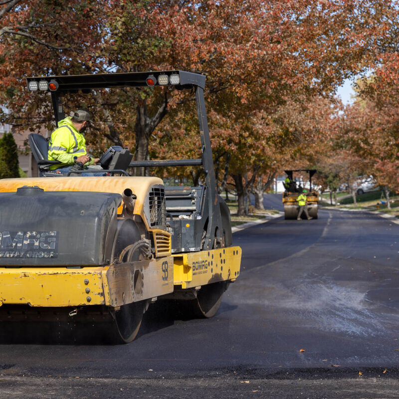 Worker uses steamroller on new asphalt along tree-lined street.